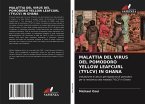 MALATTIA DEL VIRUS DEL POMODORO YELLOW LEAFCURL (TYLCV) IN GHANA