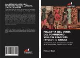 MALATTIA DEL VIRUS DEL POMODORO YELLOW LEAFCURL (TYLCV) IN GHANA