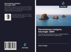 Parachanna insignis, Sauvage 1884 - Vangu, Léon