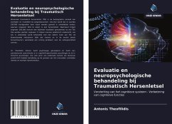 Evaluatie en neuropsychologische behandeling bij Traumatisch Hersenletsel - Theofilidis, Antonis