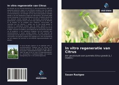 In vitro regeneratie van Citrus - Rastgoo, Sasan