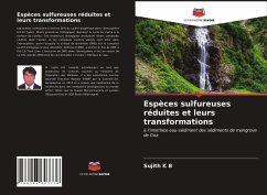 Espèces sulfureuses réduites et leurs transformations - K B, Sujith