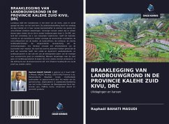 BRAAKLEGGING VAN LANDBOUWGROND IN DE PROVINCIE KALEHE ZUID KIVU, DRC - Bahati Masudi, Raphaël