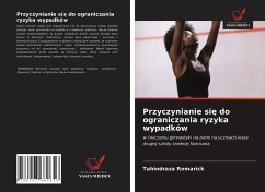 Przyczynianie si¿ do ograniczania ryzyka wypadków - Romarick, Tahindraza