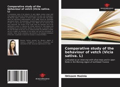 Comparative study of the behaviour of vetch (Vicia sativa. L) - Hseinia, Ibtissem