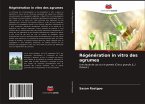 Régénération in vitro des agrumes