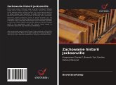 Zachowanie historii Jacksonville