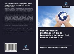 Beschermende maatregelen en de toepassing ervan op het herstel van rechten - Jessica Rocío, Espinoza Mosquera