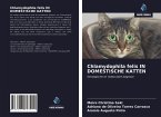 Chlamydophila felis IN DOMESTISCHE KATTEN