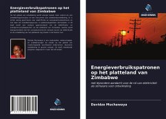 Energieverbruikspatronen op het platteland van Zimbabwe - Muchawaya, Davidzo