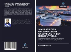 SIMULATIE VAN ONDERGRONDSE GASOPSLAG IN EEN UITGEPUT VELD. - Kuiekem, Donald