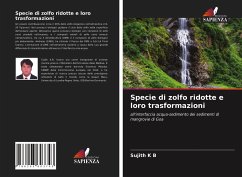 Specie di zolfo ridotte e loro trasformazioni - K B, Sujith