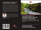 Caractérisation et évaluation des eaux du ruisseau Colpamayo