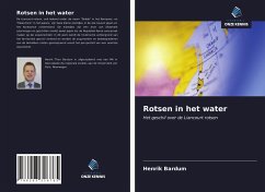 Rotsen in het water - Bardum, Henrik