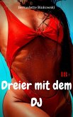 Dreier mit dem DJ (eBook, ePUB)