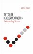 Why Some Development Works (eBook, PDF) - Bild 1