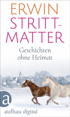 Geschichten ohne Heimat (eBook, ePUB) - Strittmatter, Erwin