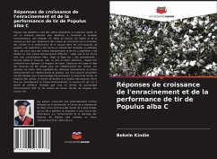 Réponses de croissance de l'enracinement et de la performance de tir de Populus alba C - Kindie, Bekele