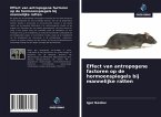 Effect van antropogene factoren op de hormoonspiegels bij mannelijke ratten