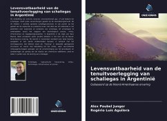 Levensvatbaarheid van de tenuitvoerlegging van schaliegas in Argentinië - Junger, Alex Paubel; Aguilera, Rogério Luís