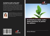 Architettura delle radici delle piantine di palma da dattero