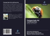 Fotoperiode bij roofinsecten