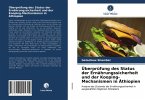 Überprüfung des Status der Ernährungssicherheit und der Kooping-Mechanismen in Äthiopien