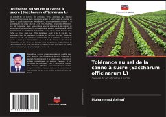 Tolérance au sel de la canne à sucre (Saccharum officinarum L) - Ashraf, Muhammad