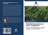 Oberflächenstrukturen von A. brasilense