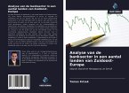 Analyse van de banksector in een aantal landen van Zuidoost-Europa