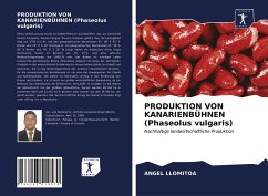 PRODUKTION VON KANARIENBÜHNEN (Phaseolus vulgaris) - Llomitoa, Angel