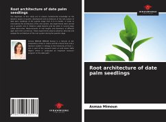 Root architecture of date palm seedlings - Mimoun, Asmaa