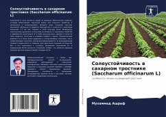 Soleustojchiwost' w saharnom trostnike (Saccharum officinarum L) - Ashraf, Muhammad