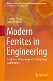 Modern Ferrites in Engineering (eBook, PDF)