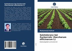 Salztoleranz bei Zuckerrohr (Saccharum officinarum L) - Ashraf, Muhammad