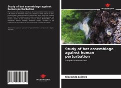 Study of bat assemblage against human perturbation - Jaimes, Gioconda