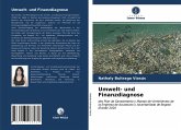 Umwelt- und Finanzdiagnose