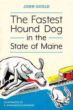 The Fastest Hound Dog in the State of Maine (eBook, ePUB) - Gould, John