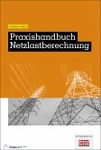 Praxishandbuch Netzlastberechnung (eBook, PDF)