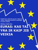 Euras: kas tai yra ir kaip jis veikia (eBook, ePUB)