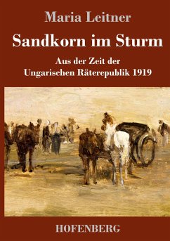 Sandkorn im Sturm - Leitner, Maria