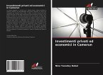 Investimenti privati ed economici in Camerun