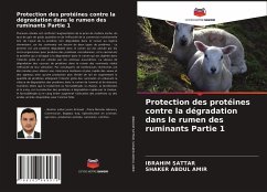 Protection des protéines contre la dégradation dans le rumen des ruminants Partie 1 - Sattar, Ibrahim;Abdul Amir, Shaker