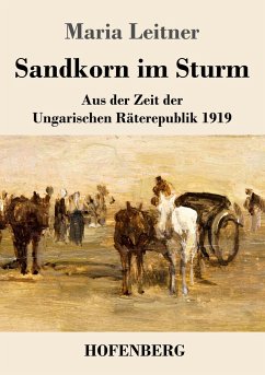 Sandkorn im Sturm - Leitner, Maria