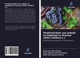Productiviteit van arbeid en kapitaal in druiven (Vitis vinifera L.)