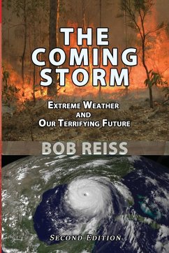 The Coming Storm - Reiss, Bob