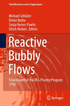 Reactive Bubbly Flows (eBook, PDF)