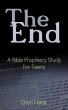The End (eBook, ePUB) - Bild 1