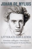 Litteraturbilleder: Æstetiske udflugter i litteraturen fra Søren Kierkegaard til Karen Blixen