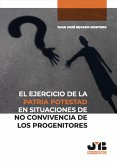 El ejercicio de la patria potestad en situaciones de no convivencia de los progenitores (eBook, PDF)